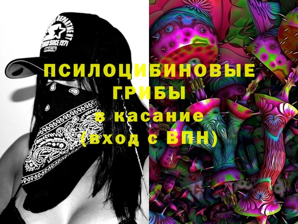 бошки Михайлов