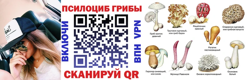 что такое Холм Псилоцибиновые грибы мицелий